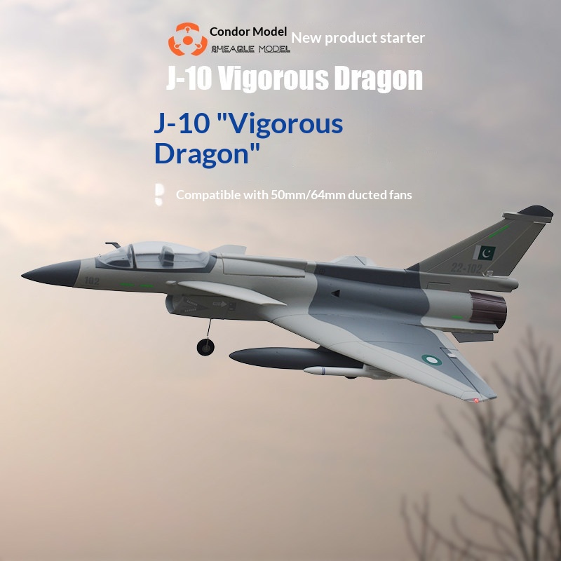 SH-EAGLE MODEL J-10 Vigorous D – Model Kit Jet Bewertung und Preis